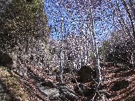 qua Rocca20100328 027